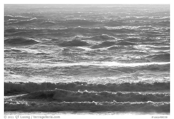 Waves at sunset. Carmel-by-the-Sea, California, USA (black and white)