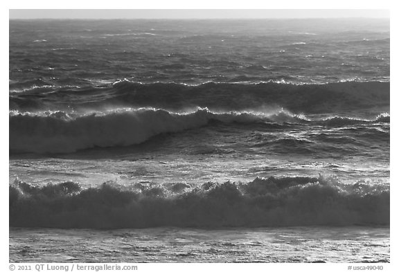 Storm surf at sunset. Carmel-by-the-Sea, California, USA (black and white)