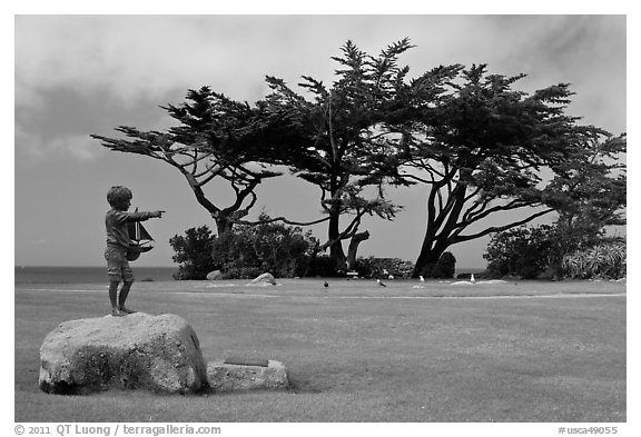 Sculpture, lawn, and cypress, Lovers Point Park. Pacific Grove, California, USA (black and white)