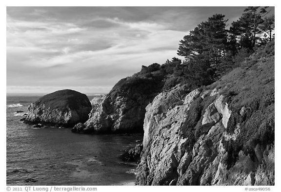 Bluff, China Cove. Point Lobos State Preserve, California, USA (black and white)
