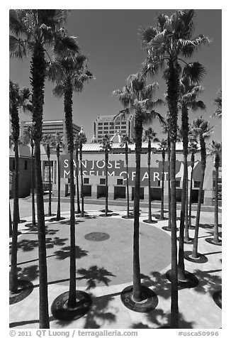San Jose Museum of Art and palm trees. San Jose, California, USA (black and white)