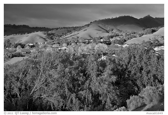 Villages community and hills in spring. San Jose, California, USA (black and white)