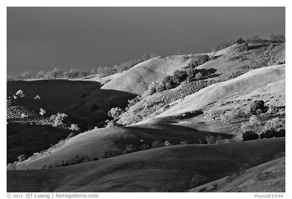 Hills at sunset, Evergreen. San Jose, California, USA (black and white)