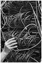 Data center equipment. Menlo Park,  California, USA (black and white)