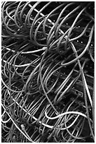 Computer cords. Menlo Park,  California, USA (black and white)
