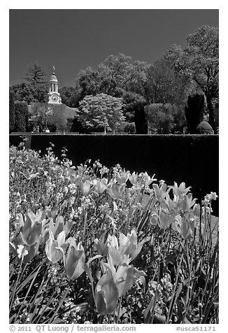 Flowers and garden shop, Filoli estate. Woodside,  California, USA (black and white)