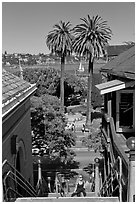 Park and Bay seen from stairs, Sausalito. California, USA ( black and white)