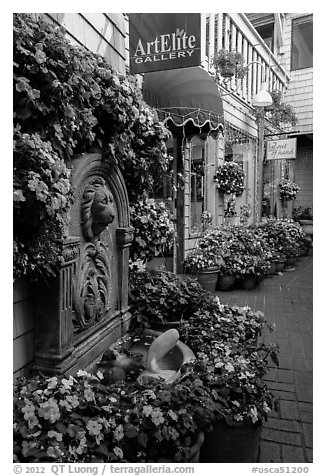 Art gallery decorated with flowers, Sausalito. California, USA (black and white)