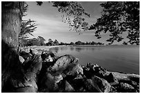 Beach, Robert W Crown Memorial State Beach. Alameda, California, USA (black and white)