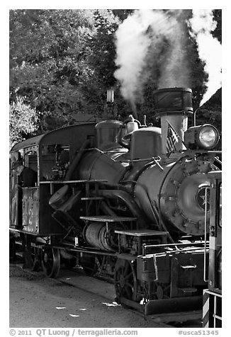Steam locomotive, Roaring Camp Train, Felton. California, USA (black and white)