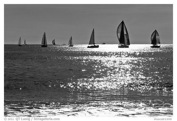 Sailboats and glimmer. Santa Cruz, California, USA