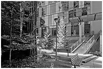 Redwood trees and modern building, UCSC. Santa Cruz, California, USA ( black and white)