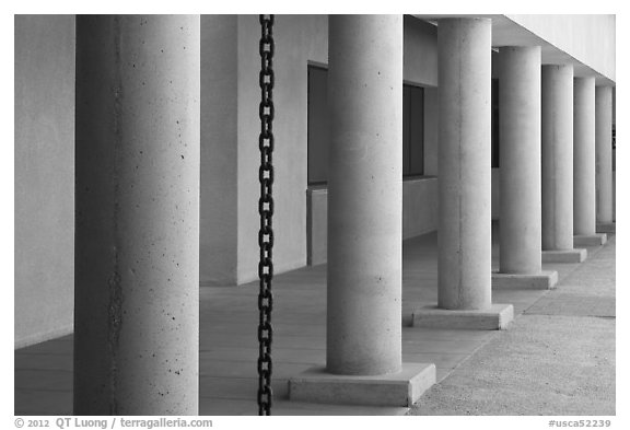Columns in Palm Courtyard, Schwab Residential Center. Stanford University, California, USA (black and white)