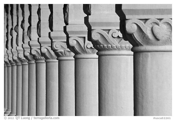 Column detail, Main Quad. Stanford University, California, USA (black and white)