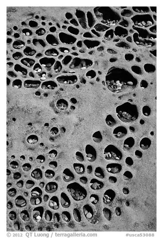 Taffoni rock with holes filled by pebbles, Bean Hollow State Beach. San Mateo County, California, USA