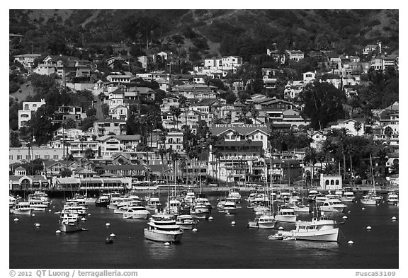 Harbor and houses on hillside, Avalon, Santa Catalina Island. California, USA