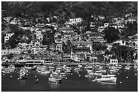 Harbor and houses on hillside, Avalon, Santa Catalina Island. California, USA (black and white)