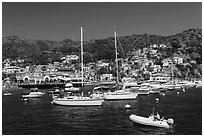Avalon Bay harbor, Santa Catalina Island. California, USA ( black and white)