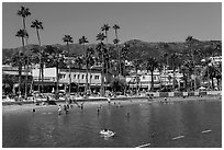 Avalon Bay beach, Santa Catalina Island. California, USA (black and white)