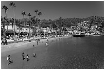 Children in water, Avalon beach, Catalina Island. California, USA ( black and white)