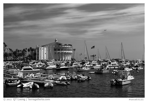 Harbor and casino, Avalon Bay, Santa Catalina Island. California, USA (black and white)