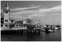Yacht club and casino, Avalon, Catalina Island. California, USA ( black and white)