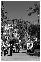 Street near waterfront, Avalon Bay, Santa Catalina Island. California, USA (black and white)