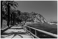 Waterfront promenenade, Avalon Bay, Catalina. California, USA (black and white)