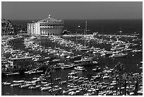 Harbor and casino from above, Avalon Bay, Santa Catalina Island. California, USA ( black and white)