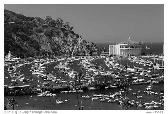 Pier and Catalina Casino, Avalon Bay, Santa Catalina Island. California, USA (black and white)