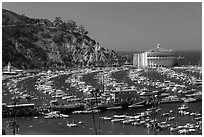 Pier and Catalina Casino, Avalon Bay, Santa Catalina Island. California, USA ( black and white)