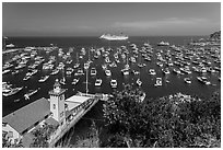 Avalon harbor from above, Avalon Bay, Catalina Island. California, USA (black and white)