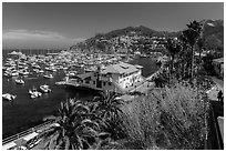 Harbor and waterfront, Avalon Bay, Catalina Island. California, USA (black and white)