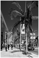 Rodeo Drive. Beverly Hills, Los Angeles, California, USA ( black and white)