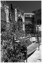 Red flowers and bench with pillows in shopping area. Beverly Hills, Los Angeles, California, USA ( black and white)
