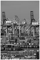 Shipping containers and cranes. Long Beach, Los Angeles, California, USA ( black and white)