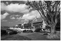 Seaport Village. San Diego, California, USA ( black and white)