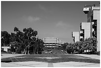 Campus perspective with Fallen Star and Geisel Library, University of California. La Jolla, San Diego, California, USA ( black and white)