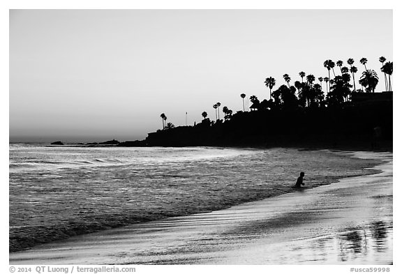 Beach at sunset with silhouettes of palm trees and beachgoer. Laguna Beach, Orange County, California, USA (black and white)