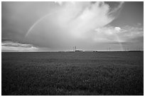 Pasture and rainbow in the spring. California, USA ( black and white)