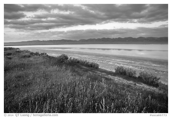 Soda Lake with reflections of Temblor Range. Carrizo Plain National Monument, California, USA (black and white)