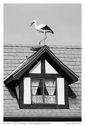 Stork on roof window. Solvang, California, USA (black and white)