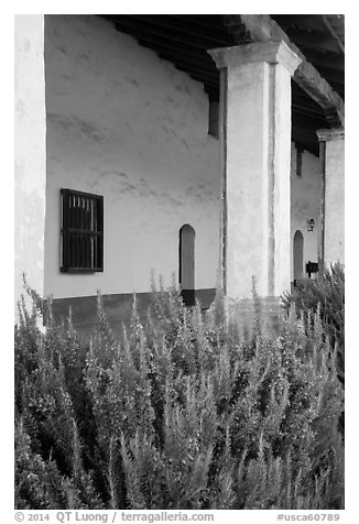 Flowers and gallery, Mission La Purísima. Lompoc, California, USA (black and white)