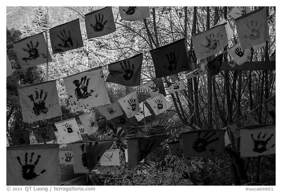 Flags in garden. Big Sur, California, USA (black and white)