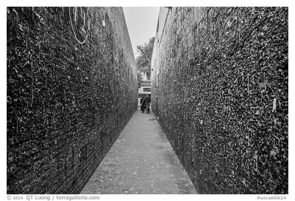 Bubblegum Alley. California, USA (black and white)