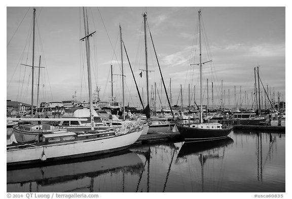Yachts, Moss Landing. California, USA (black and white)
