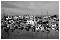 Marina, Moss Landing. California, USA ( black and white)