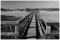Boardwalk, Elkhorn Slough. California, USA ( black and white)