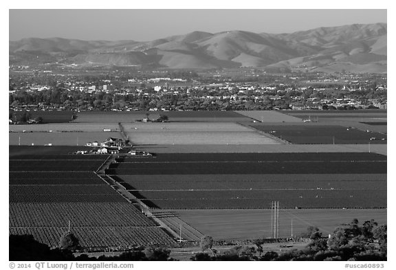 Agricultural lands in Salinas Valley. California, USA (black and white)