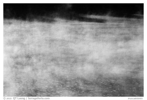 Mist rising from lake, Jenkinson Lake. California, USA (black and white)